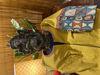 TRIBAL TALES IN SILK COTTON