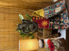 TRIBAL TALES IN SILK COTTON